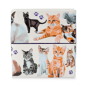 Paws For Tea: Cat Lover’s Edition Tea Bag Tin image number 6