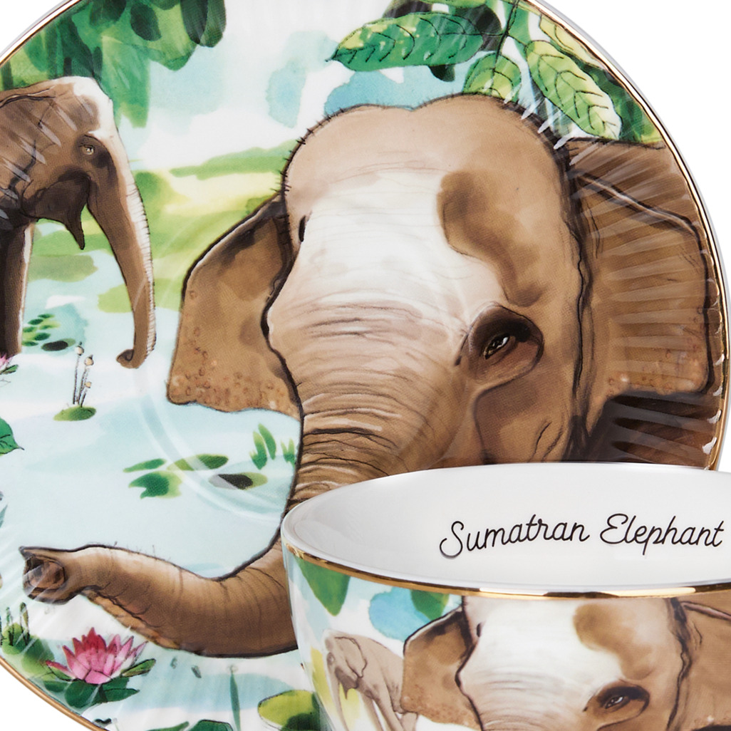 Wild For Life Cup & Saucer Elephant Cup & Saucer Sets | T2 Australia