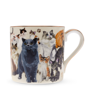 Boxed Mug Paws For Tea Cats