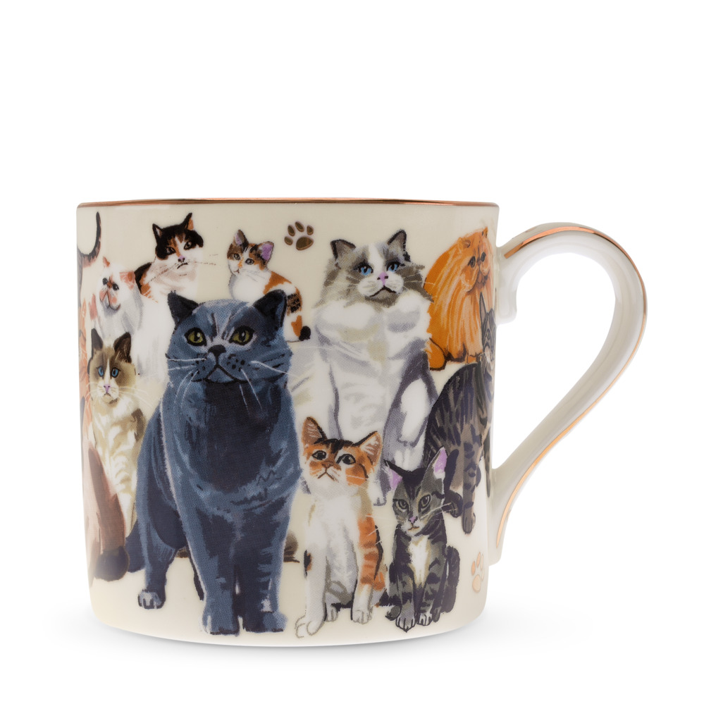 Boxed Mug Paws For Tea Cats image number 0