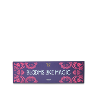 Blooms Like Magic Blooming Teas Gift Pack
