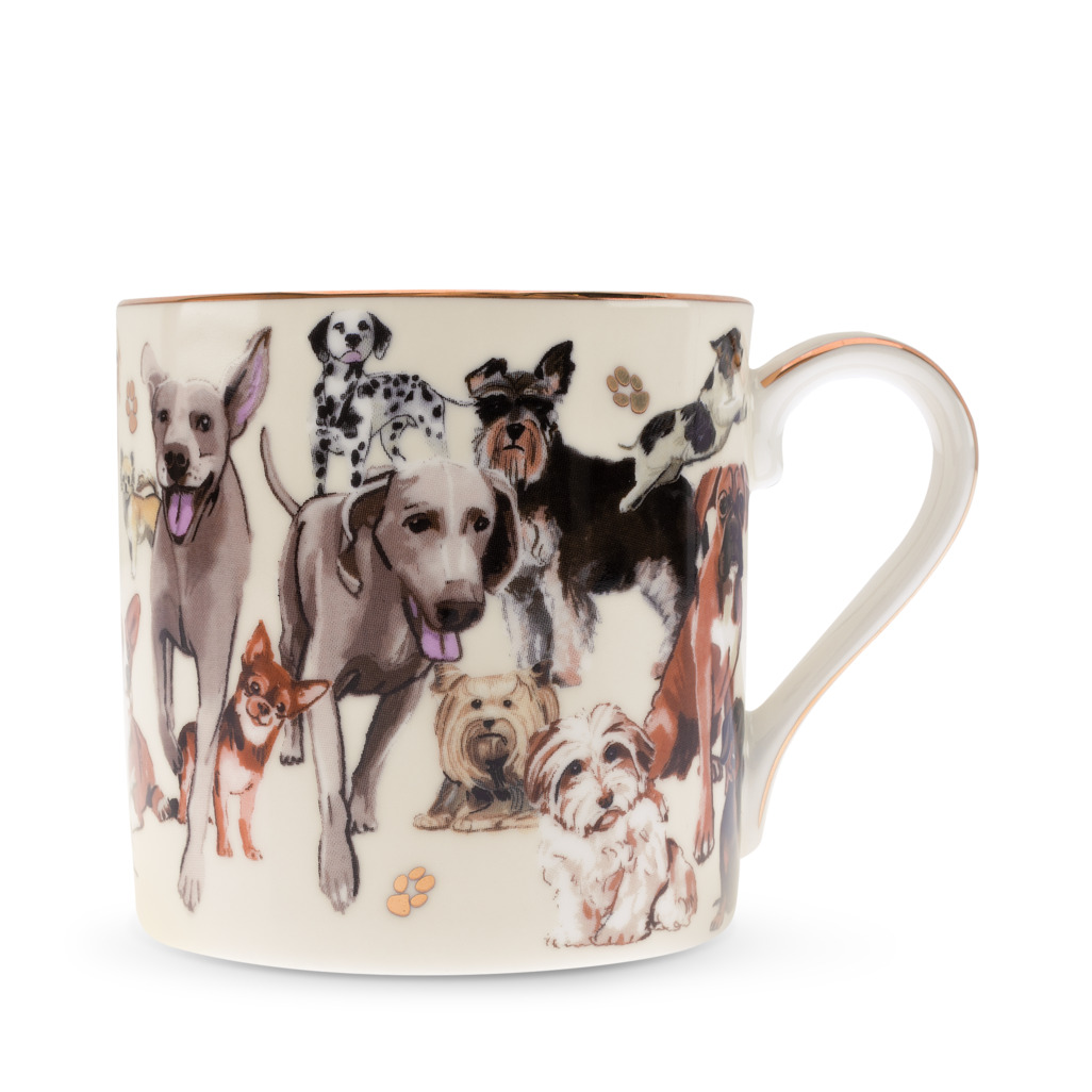 Boxed Mug Paws For Tea Dogs image number 0