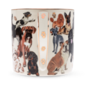 Boxed Mug Paws For Tea Dogs image number 2