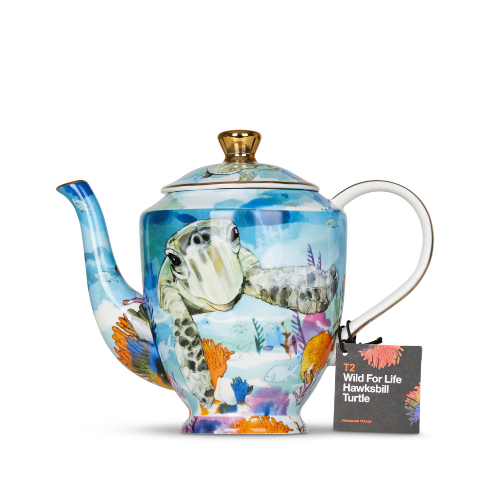 Wild For Life Teapot Turtle