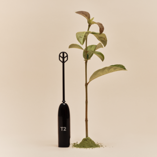 T2 Everyday Electric Matcha Whisk