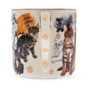 Boxed Mug Paws For Tea Cats image number 2