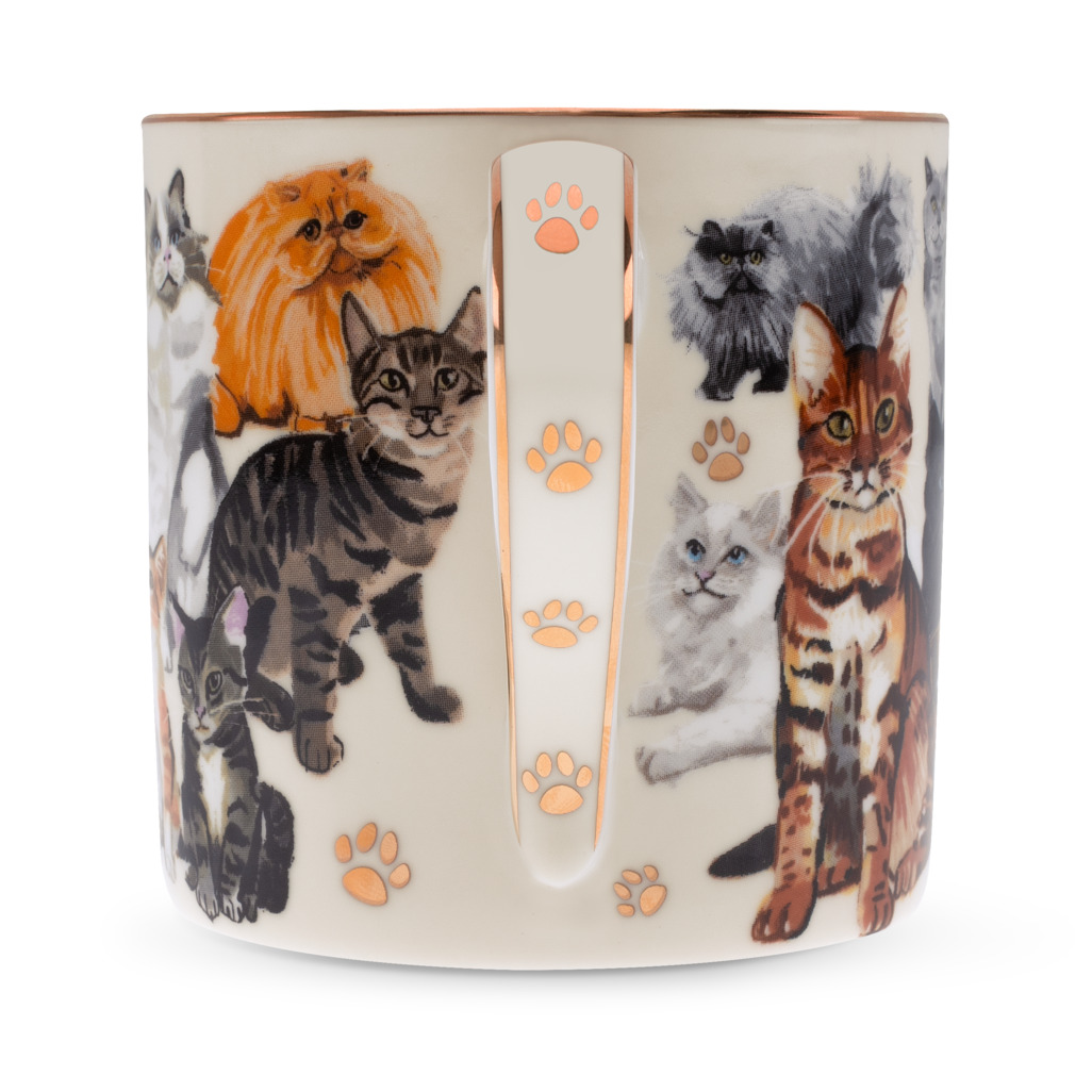 Boxed Mug Paws For Tea Cats image number 2
