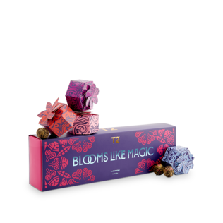 Blooms Like Magic Blooming Teas Gift Pack