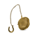 Fun Infuser Gold Horseshoe image number 0