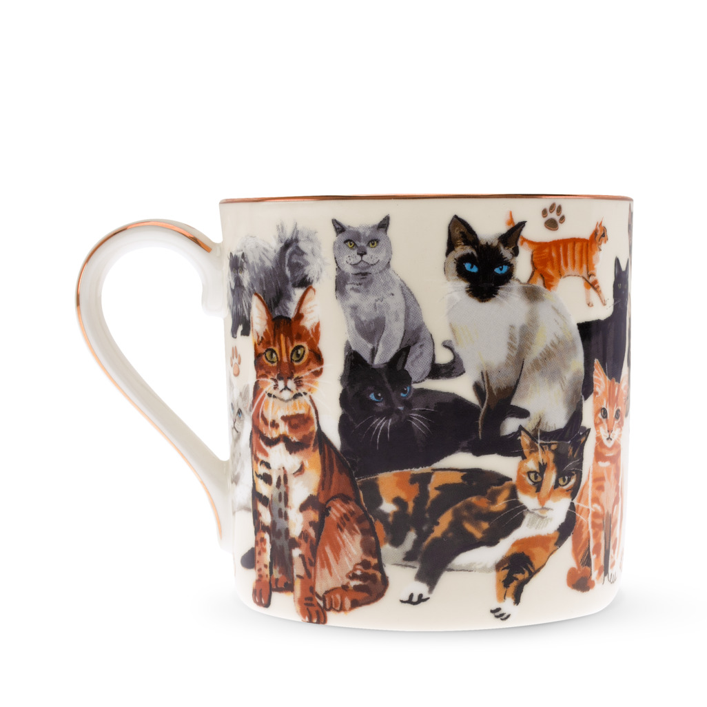 Boxed Mug Paws For Tea Cats image number 3