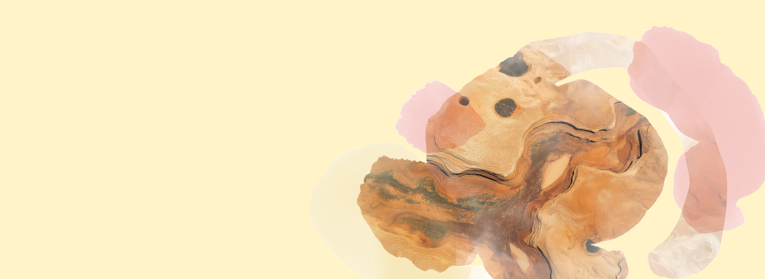 Various boxes of T2 Immunity tea