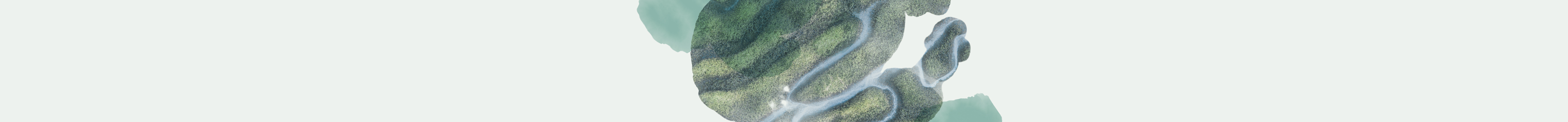 Various boxes of T2 Immunity tea