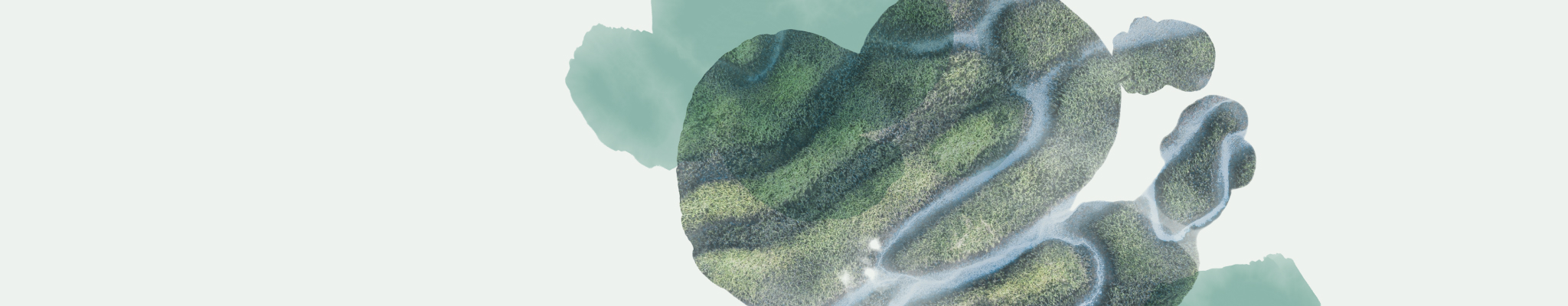 Various boxes of T2 Immunity tea