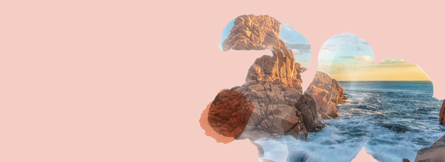 Various boxes of T2 Immunity tea