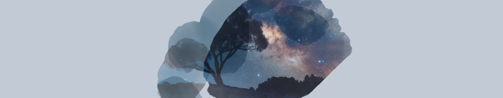 Various boxes of T2 Immunity tea