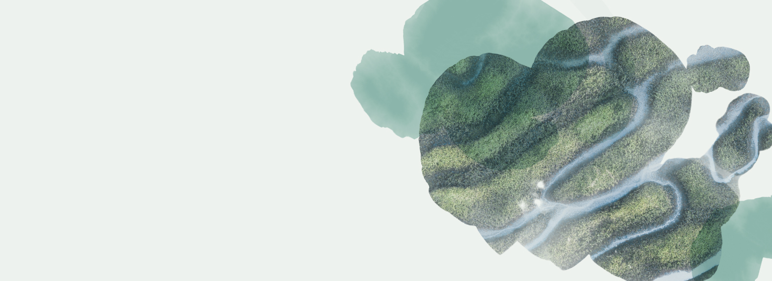 Various boxes of T2 Immunity tea