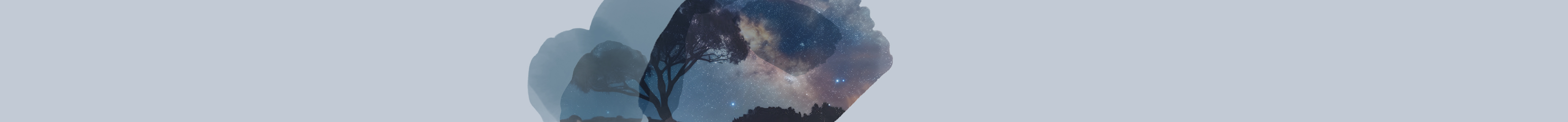 Various boxes of T2 Immunity tea