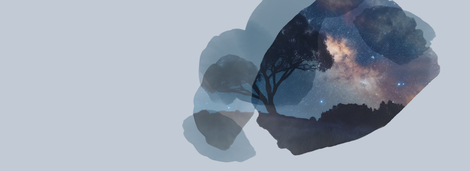 Various boxes of T2 Immunity tea