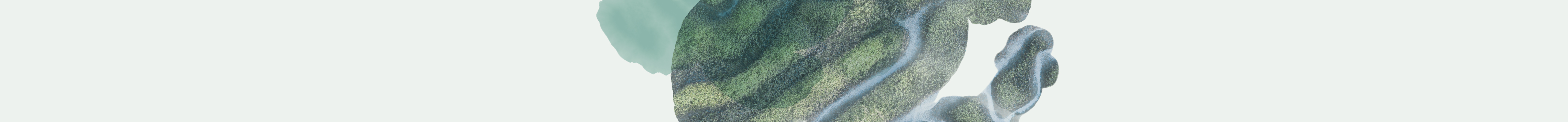 Various boxes of T2 Immunity tea