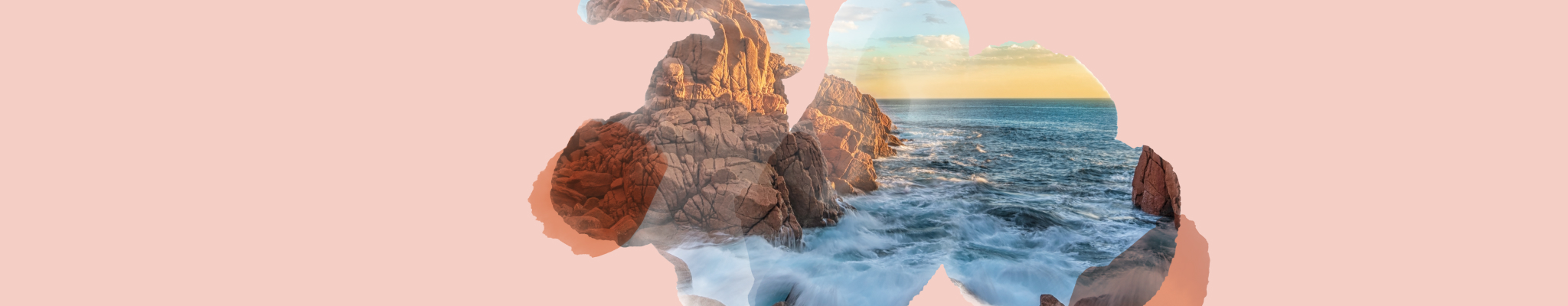 Various boxes of T2 Immunity tea