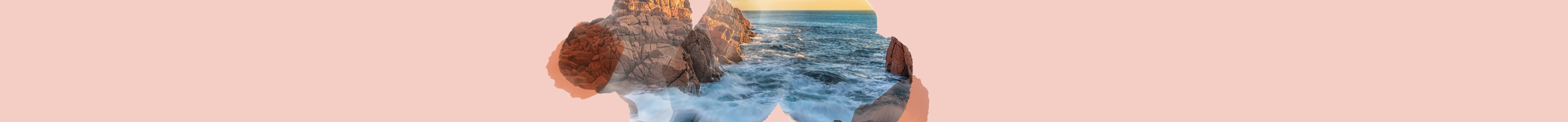 Various boxes of T2 Immunity tea