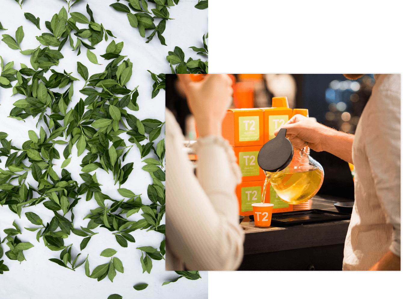 Tea being poured into a tasting cup from a T2 brew jug