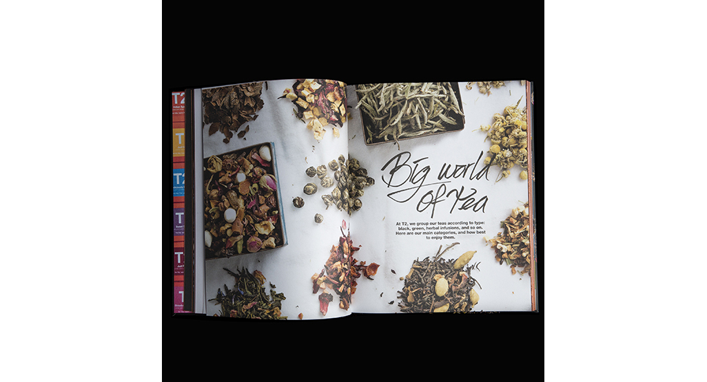 T2 The Book image number 0