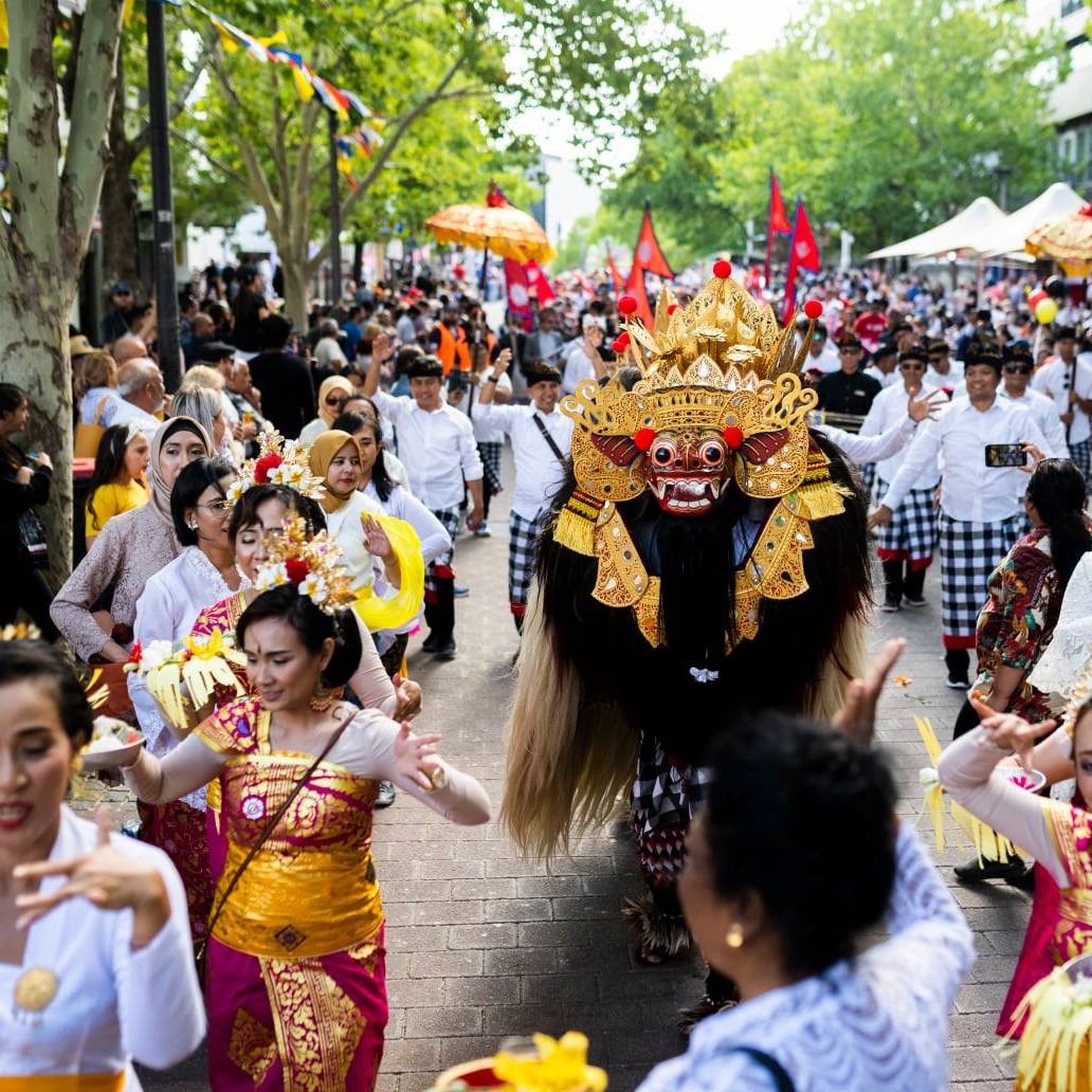 Multicultural Festival  (11)